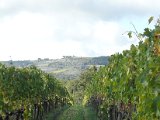 Chianti-1 2016 - 066.jpg